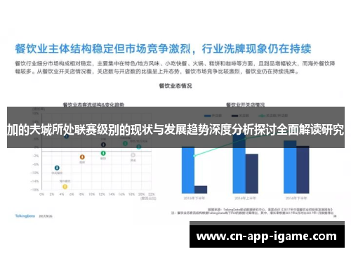 加的夫城所处联赛级别的现状与发展趋势深度分析探讨全面解读研究