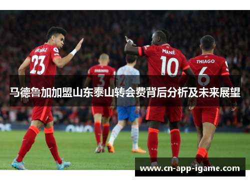 马德鲁加加盟山东泰山转会费背后分析及未来展望